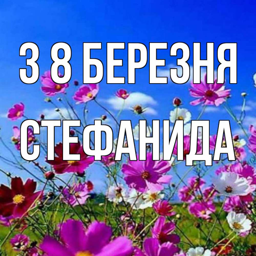 Открытка на каждый день з підписом, Стефанида З 8 БЕРЕЗНЯ цветы Прикольна листівка з побажанням онлайн скачати безкоштовно 