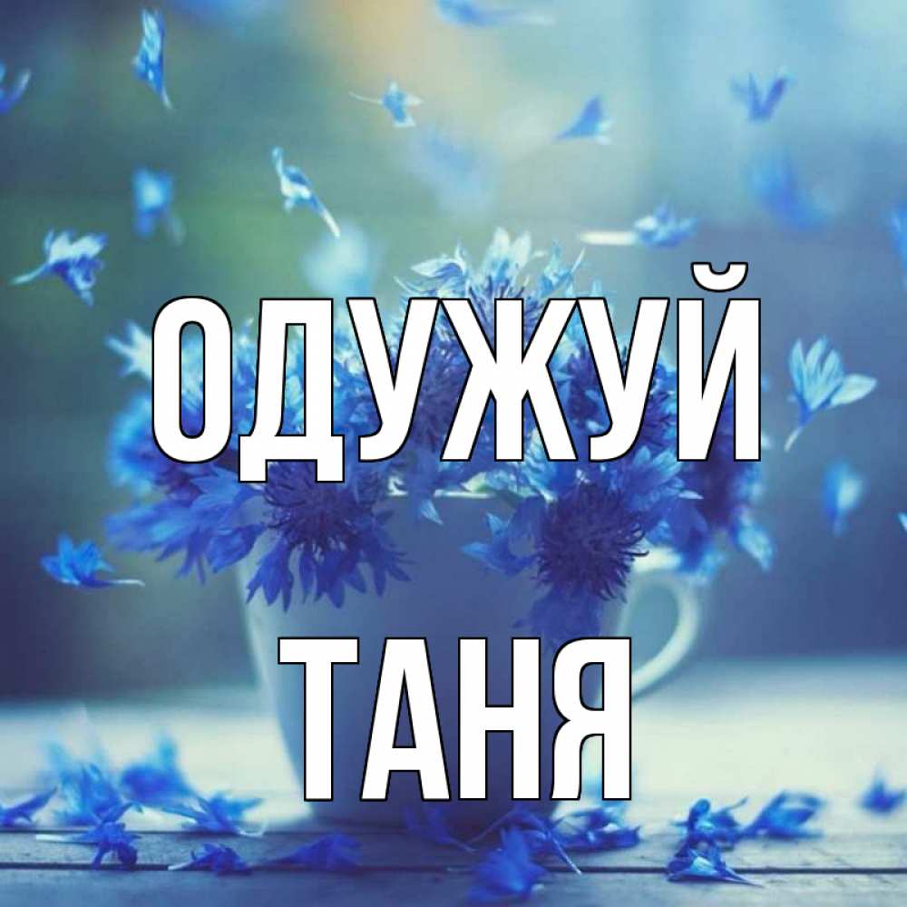 Открытка на каждый день з підписом, Таня Одужуй кружка с зельем и цветами Прикольна листівка з побажанням онлайн скачати безкоштовно 