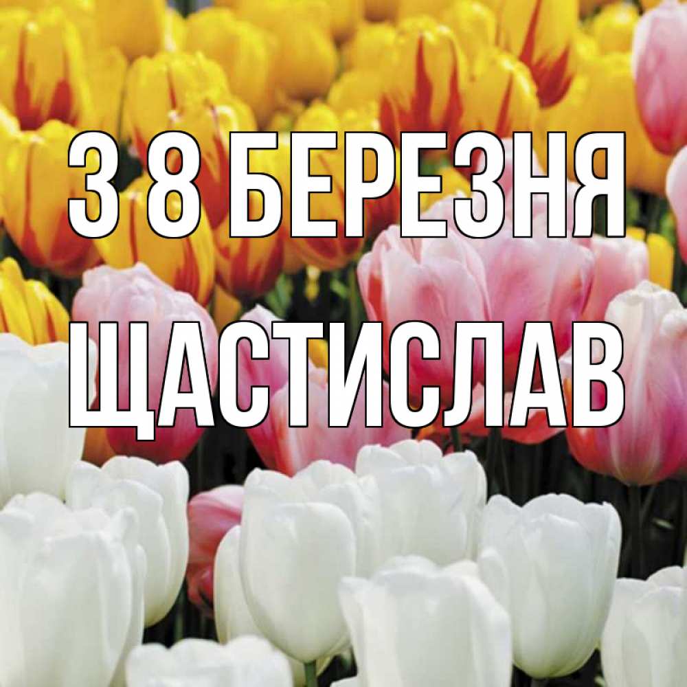 Открытка на каждый день з підписом, Щастислав З 8 БЕРЕЗНЯ разноцветные цветы Прикольна листівка з побажанням онлайн скачати безкоштовно 
