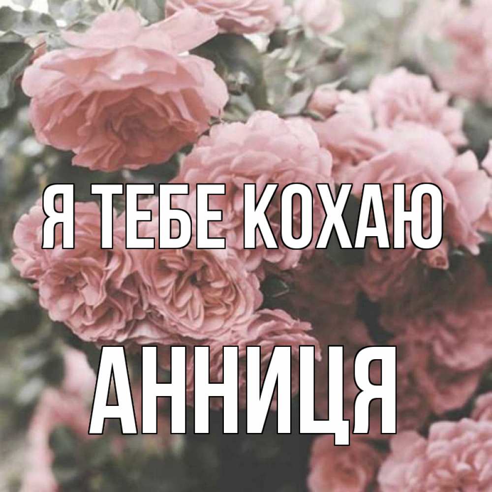Открытка на каждый день з підписом, Анниця Я тебе кохаю розы 3 Прикольна листівка з побажанням онлайн скачати безкоштовно 