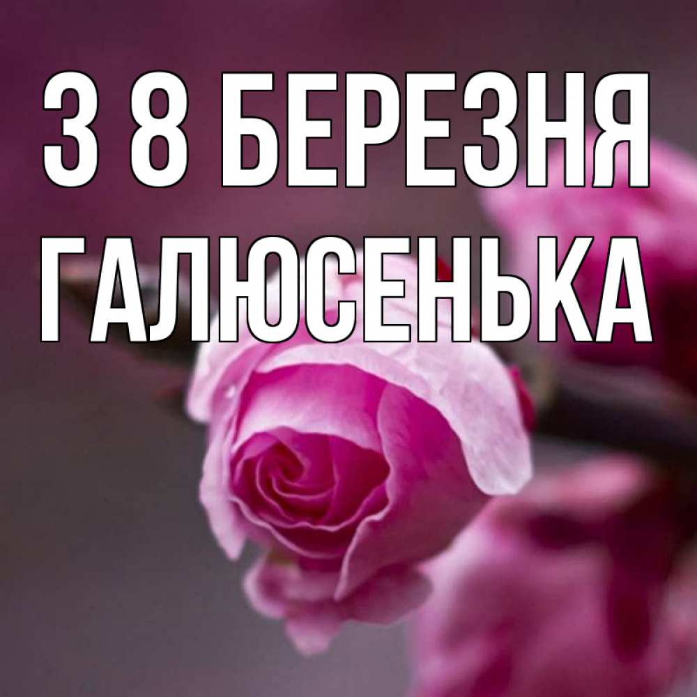 Открытка на каждый день з підписом, Галюсенька З 8 БЕРЕЗНЯ весна Прикольна листівка з побажанням онлайн скачати безкоштовно 