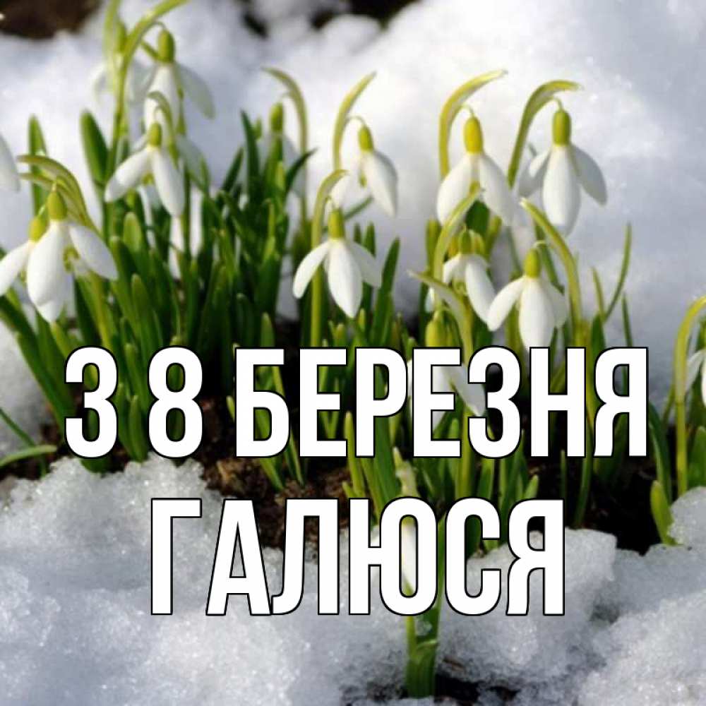 Открытка на каждый день з підписом, Галюся З 8 БЕРЕЗНЯ цветы весенние Прикольна листівка з побажанням онлайн скачати безкоштовно 