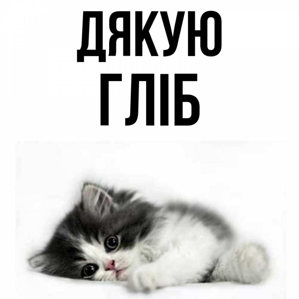 Открытка на каждый день з підписом, Гліб Дякую черный и белый кот Прикольна листівка з побажанням онлайн скачати безкоштовно 
