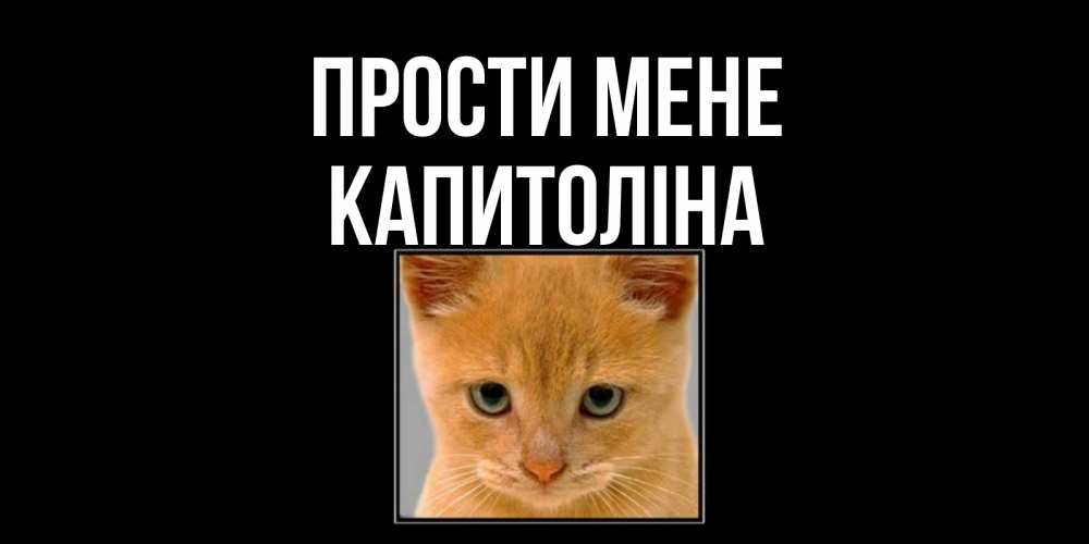Открытка на каждый день з підписом, Капитоліна Прости мене рыжий грустный кот просит прощения Прикольна листівка з побажанням онлайн скачати безкоштовно 