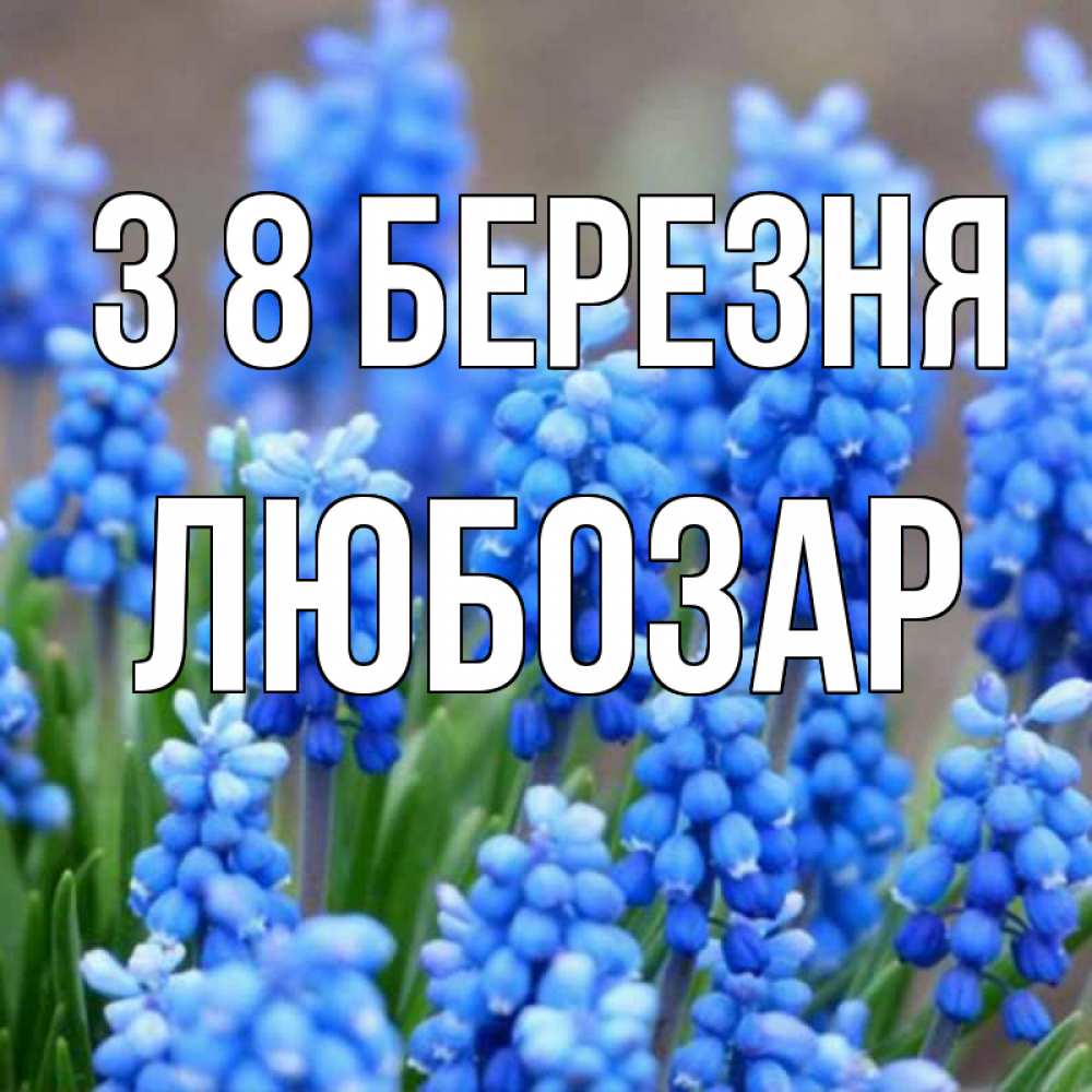 Открытка на каждый день з підписом, Любозар З 8 БЕРЕЗНЯ Поздравительная открытка для женщин с цветами на праздничную дату Прикольна листівка з побажанням онлайн скачати безкоштовно 