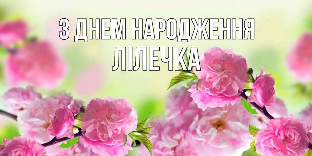 Открытка на каждый день з підписом, Лілечка З Днем народження веточки с цветками Прикольна листівка з побажанням онлайн скачати безкоштовно 