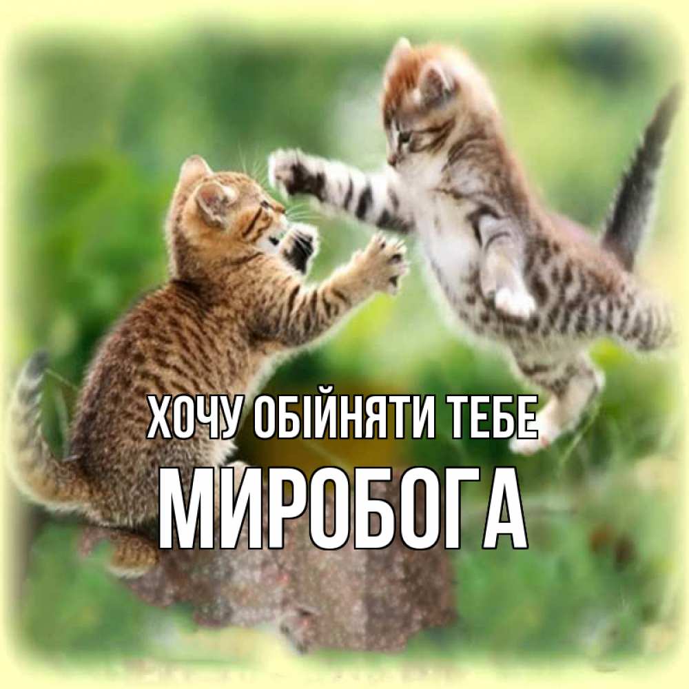 Открытка на каждый день з підписом, Миробога Хочу обійняти тебе игры котят Прикольна листівка з побажанням онлайн скачати безкоштовно 