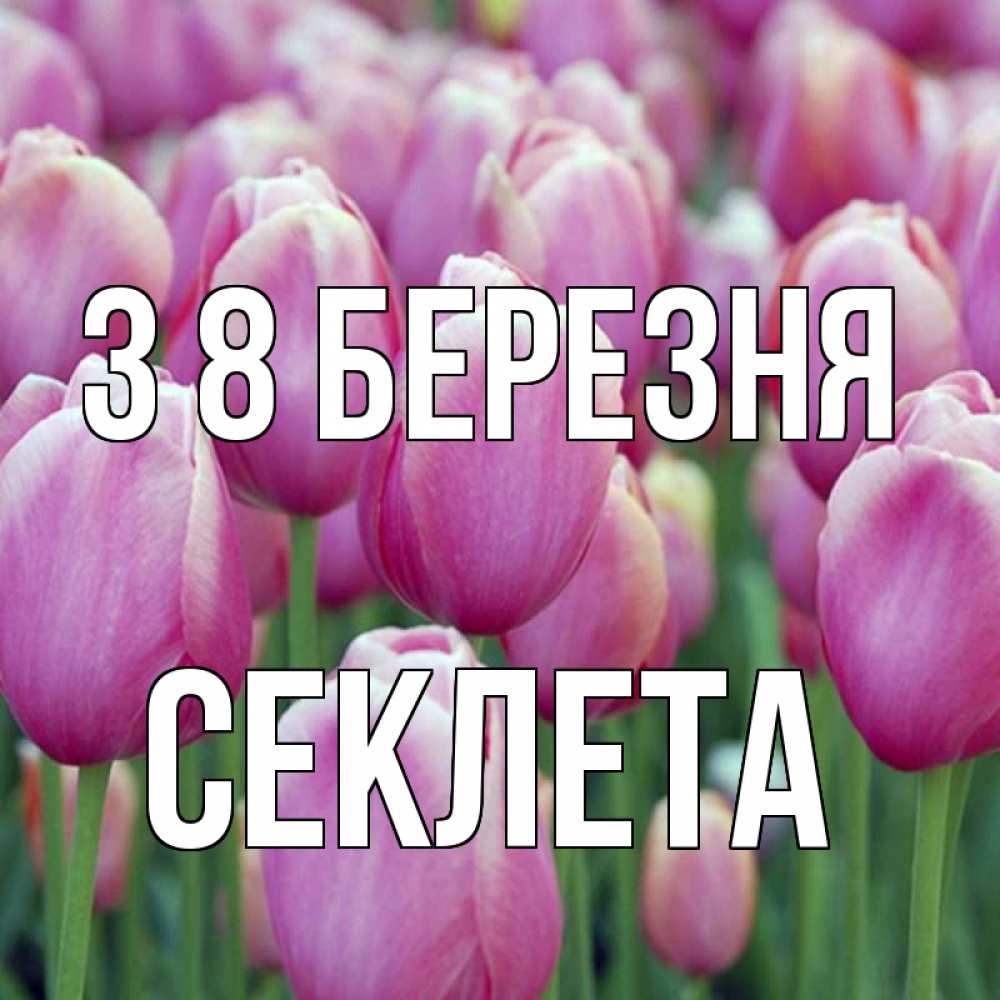 Открытка на каждый день з підписом, Секлета З 8 БЕРЕЗНЯ на международный женский день 3 Прикольна листівка з побажанням онлайн скачати безкоштовно 