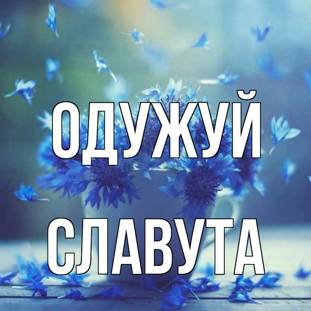 Открытка на каждый день з підписом, Славута Одужуй кружка с зельем и цветами Прикольна листівка з побажанням онлайн скачати безкоштовно 