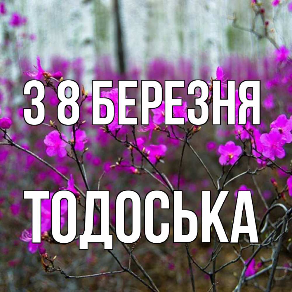 Открытка на каждый день з підписом, Тодоська З 8 БЕРЕЗНЯ дикие цветы Прикольна листівка з побажанням онлайн скачати безкоштовно 