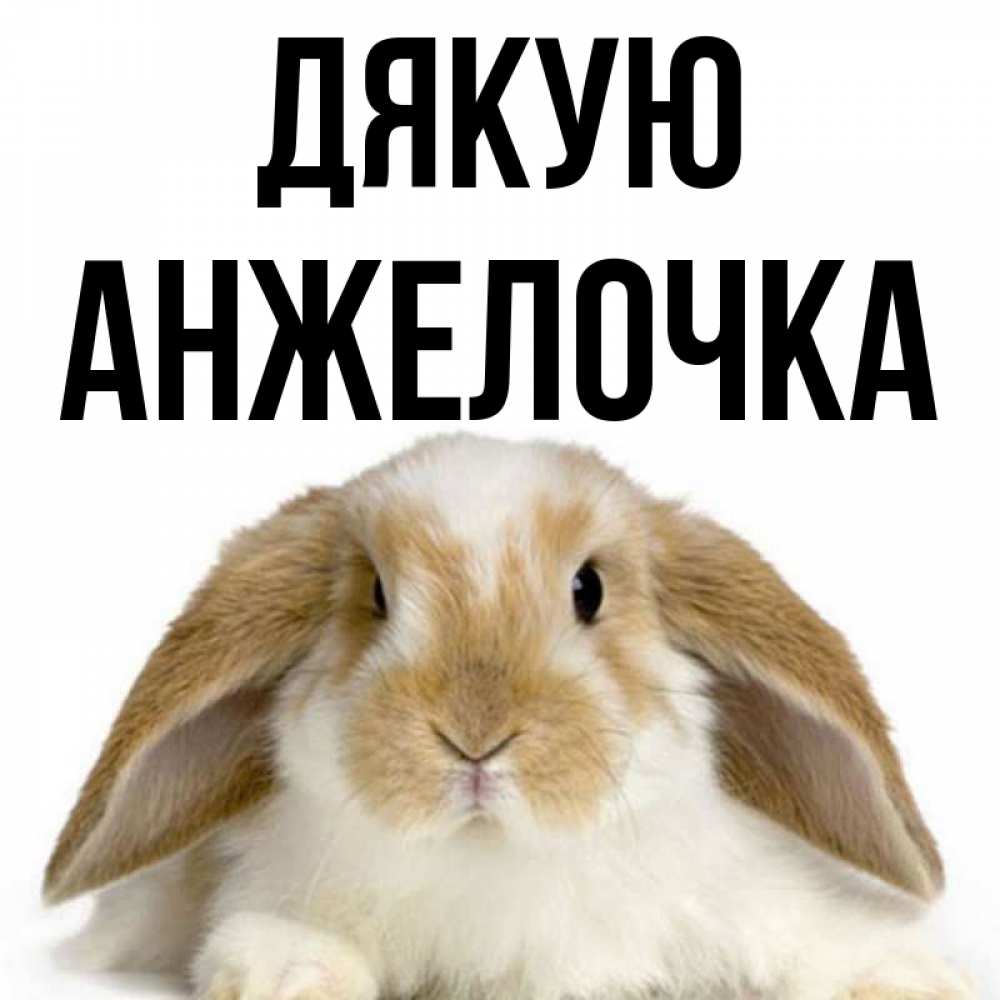 Открытка на каждый день з підписом, Анжелочка Дякую коричнево белый заяц Прикольна листівка з побажанням онлайн скачати безкоштовно 