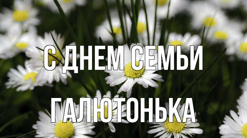 Открытка на каждый день з підписом, Галютонька С днем семьи с днем семьи  2 Прикольна листівка з побажанням онлайн скачати безкоштовно 