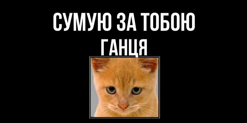 Открытка на каждый день з підписом, Ганця Сумую за тобою открытки рыжий котенок скучает по тебе Прикольна листівка з побажанням онлайн скачати безкоштовно 