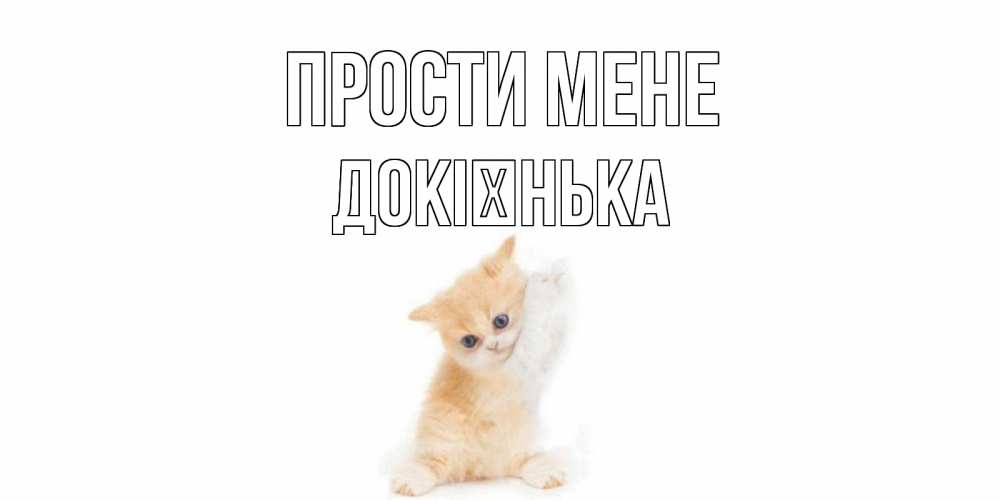 Открытка на каждый день з підписом, Докієнька Прости мене кот Прикольна листівка з побажанням онлайн скачати безкоштовно 