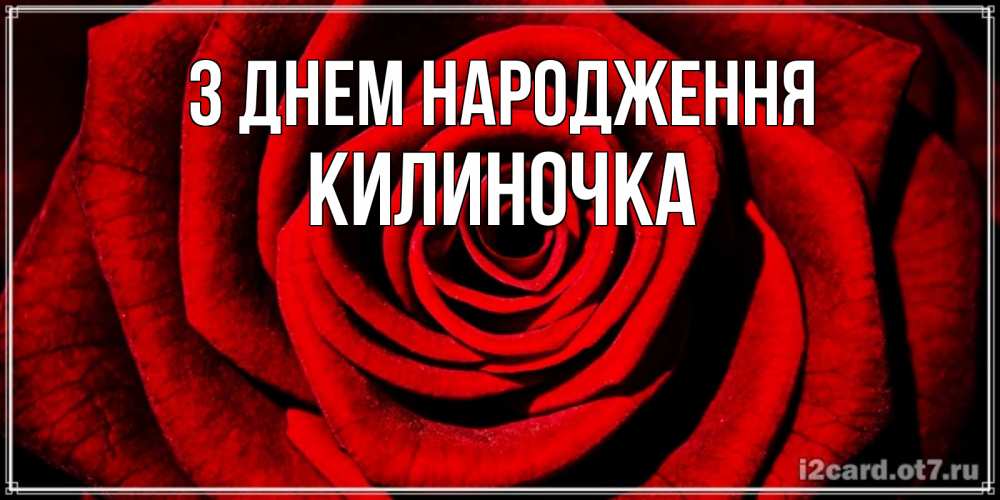 Открытка на каждый день з підписом, Килиночка З Днем народження алая роза Прикольна листівка з побажанням онлайн скачати безкоштовно 