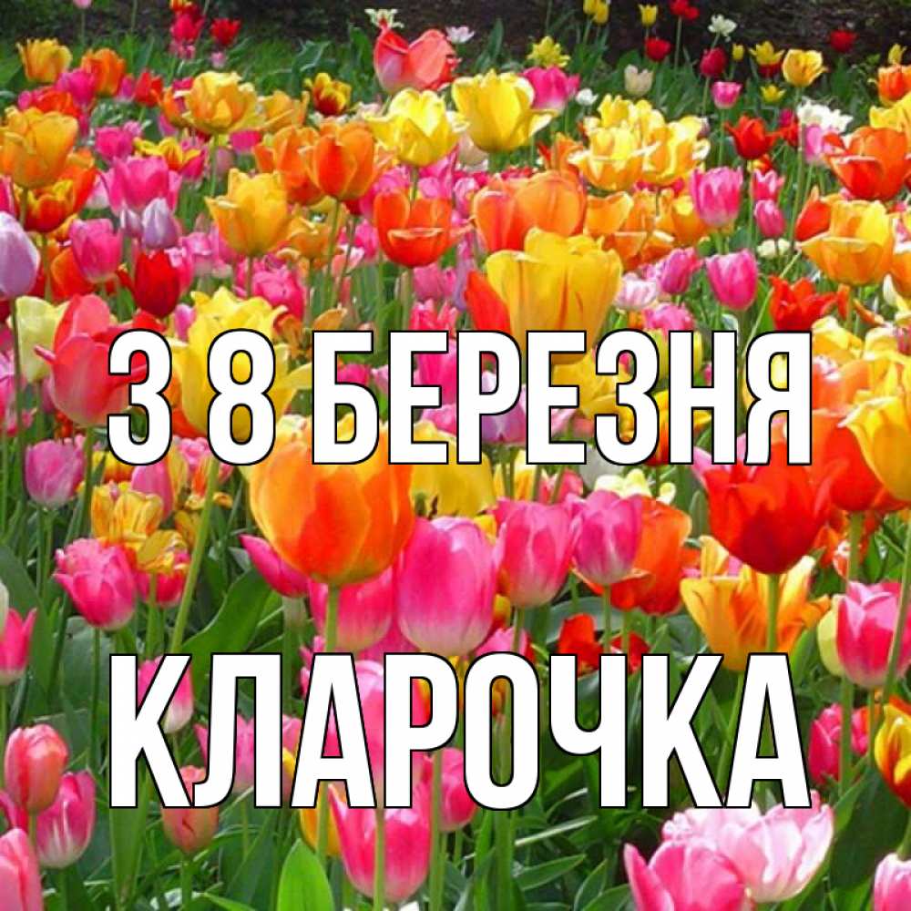 Открытка на каждый день з підписом, Кларочка З 8 БЕРЕЗНЯ на международный женский день Прикольна листівка з побажанням онлайн скачати безкоштовно 