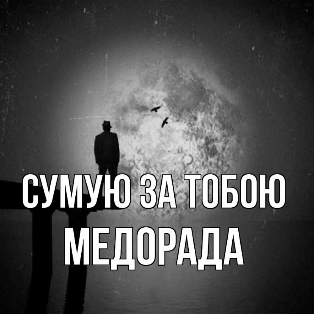 Открытка на каждый день з підписом, Медорада Сумую за тобою мост 1 Прикольна листівка з побажанням онлайн скачати безкоштовно 
