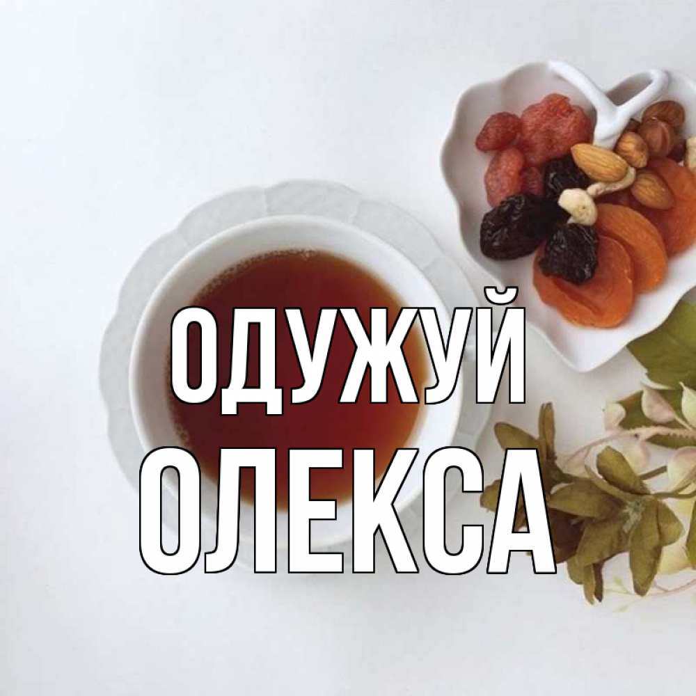Открытка на каждый день з підписом, Олекса Одужуй неизвестные растения Прикольна листівка з побажанням онлайн скачати безкоштовно 