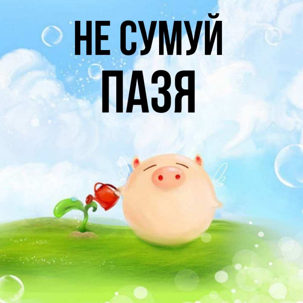 Открытка на каждый день з підписом, Пазя Не сумуй поливает цветок порося Прикольна листівка з побажанням онлайн скачати безкоштовно 