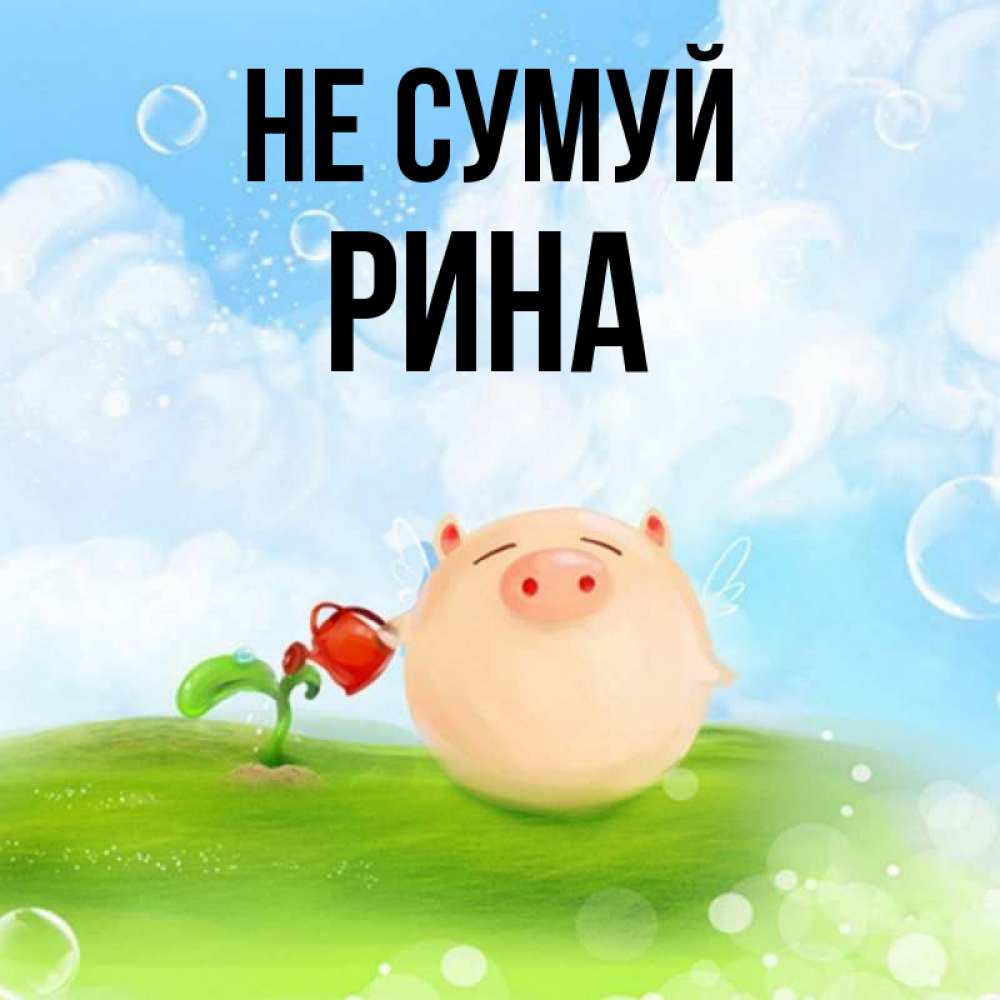 Открытка на каждый день з підписом, Рина Не сумуй поливает цветок порося Прикольна листівка з побажанням онлайн скачати безкоштовно 