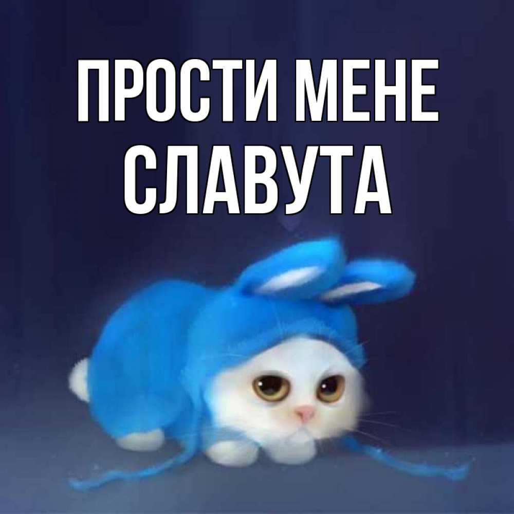 Открытка на каждый день з підписом, Славута Прости мене невинный котозай просит прощения Прикольна листівка з побажанням онлайн скачати безкоштовно 