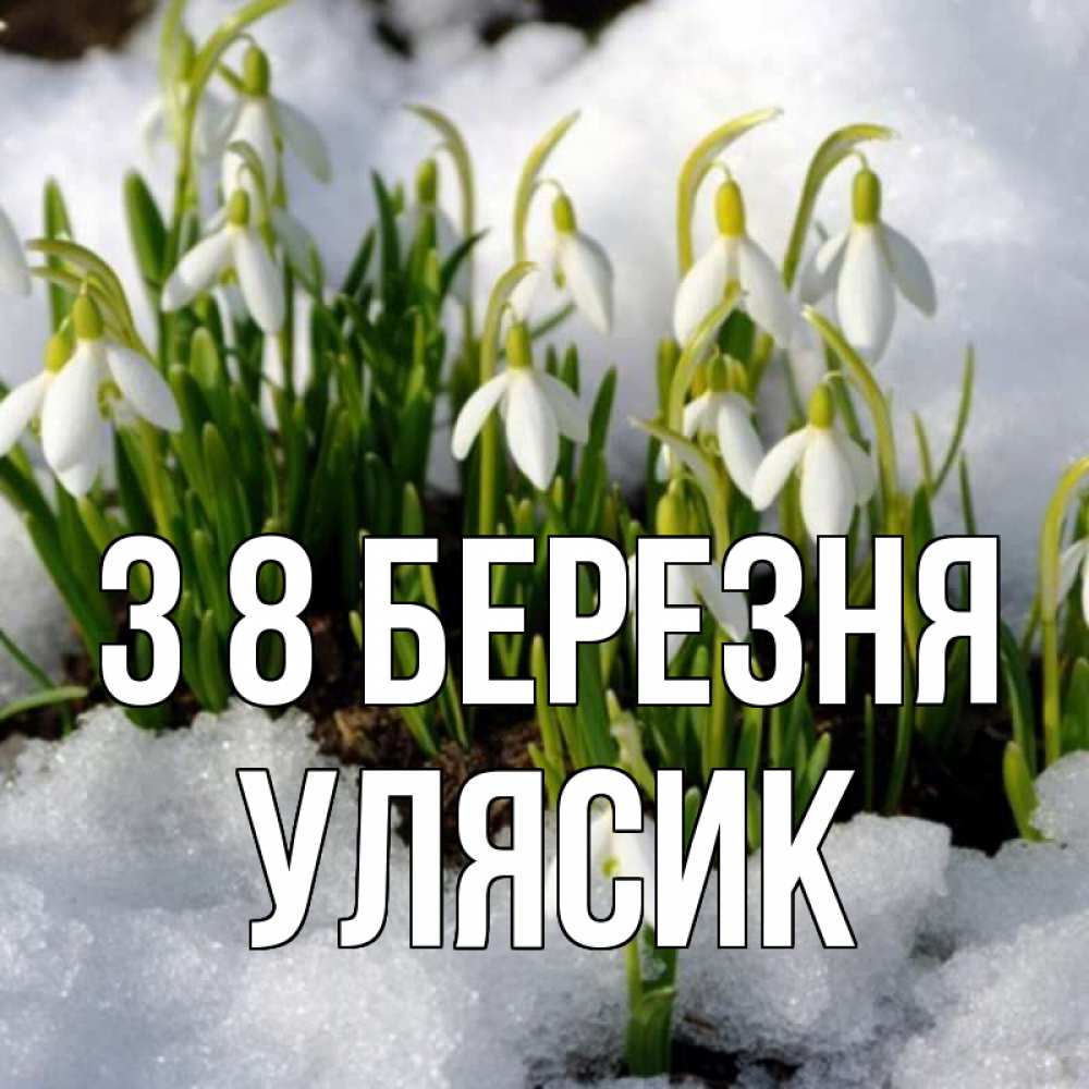 Открытка на каждый день з підписом, Улясик З 8 БЕРЕЗНЯ цветы весенние Прикольна листівка з побажанням онлайн скачати безкоштовно 