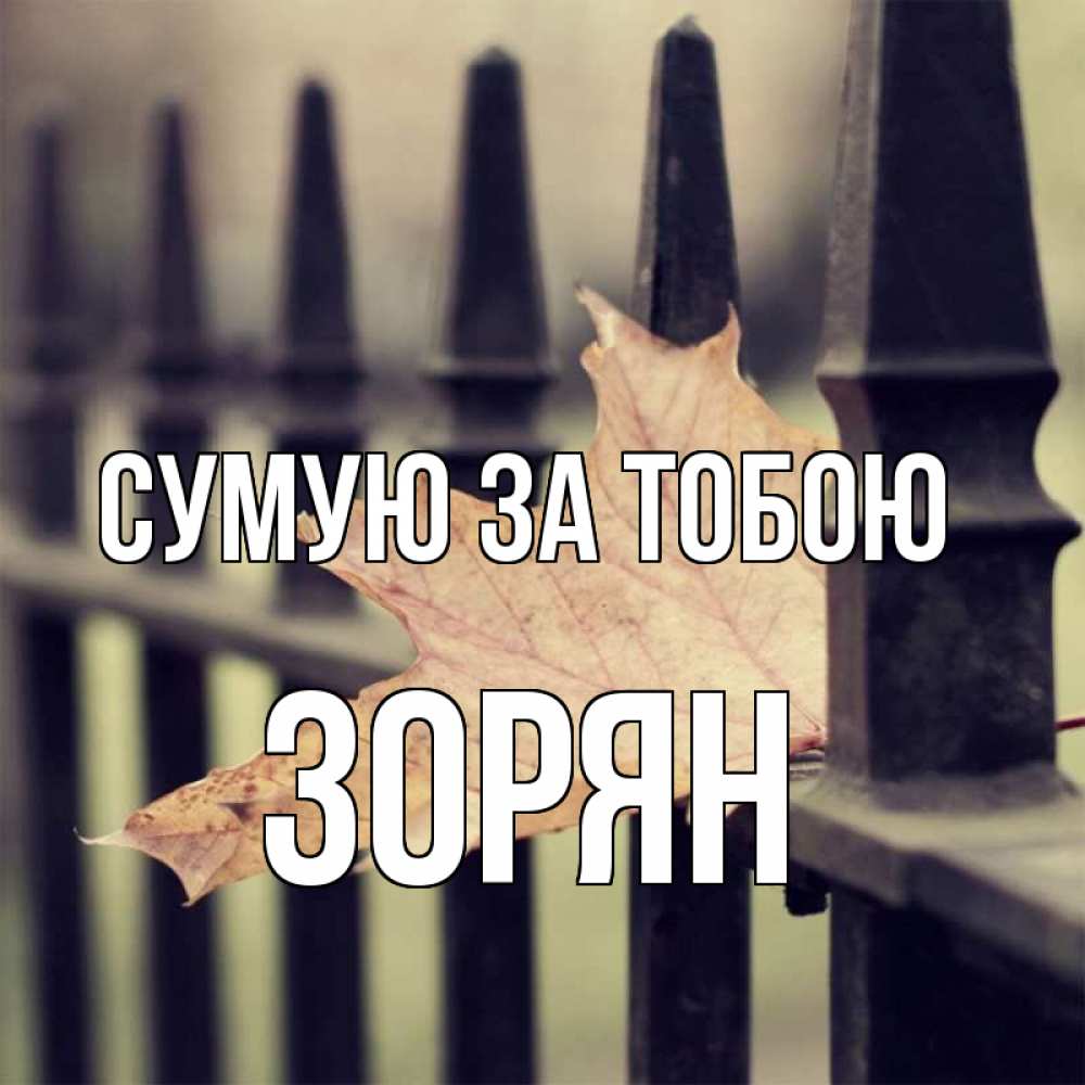 Открытка на каждый день з підписом, Зорян Сумую за тобою очень скучно Прикольна листівка з побажанням онлайн скачати безкоштовно 