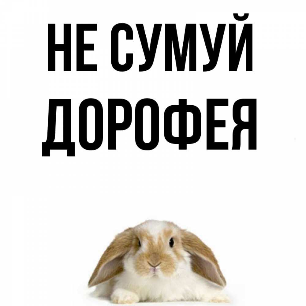 Открытка на каждый день з підписом, Дорофея Не сумуй коричнево белый заяц с большими ушками Прикольна листівка з побажанням онлайн скачати безкоштовно 