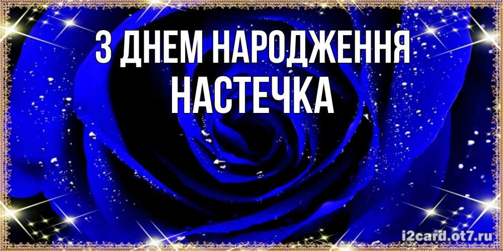 Открытка на каждый день з підписом, Настечка З Днем народження голубые цветы в росе Прикольна листівка з побажанням онлайн скачати безкоштовно 