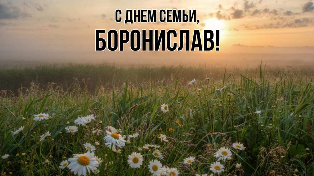 Открытка на каждый день з підписом, Боронислав С днем семьи с днем семьи Прикольна листівка з побажанням онлайн скачати безкоштовно 