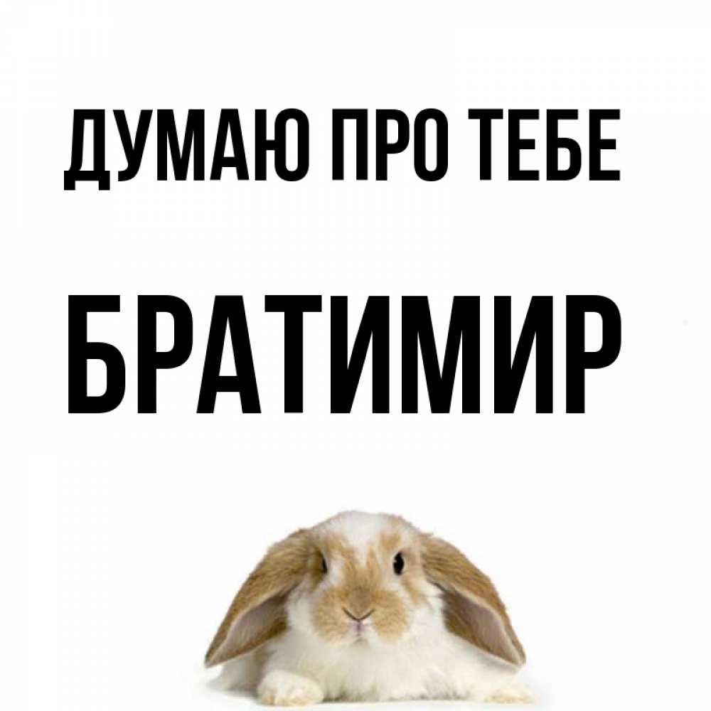 Открытка на каждый день з підписом, Братимир Думаю про тебе подписать своими руками онлайн Прикольна листівка з побажанням онлайн скачати безкоштовно 
