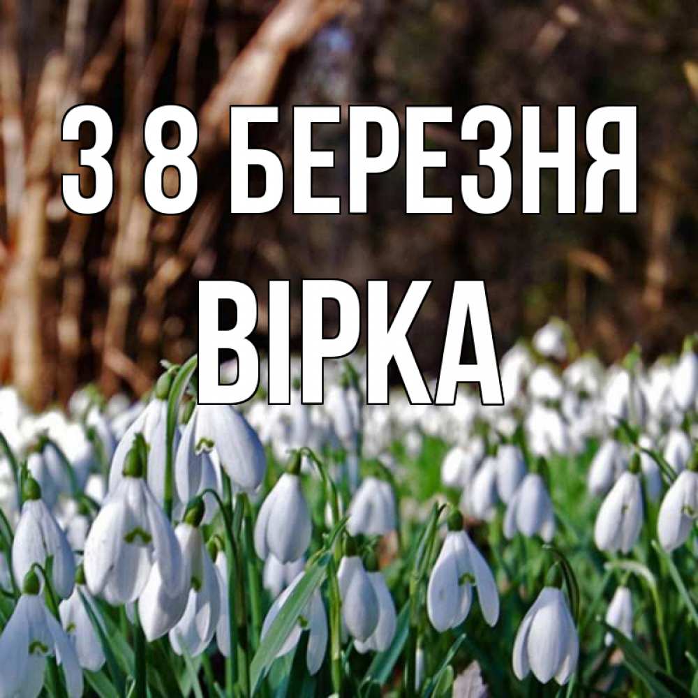 Открытка на каждый день з підписом, Вірка З 8 БЕРЕЗНЯ с подснежниками 1 Прикольна листівка з побажанням онлайн скачати безкоштовно 