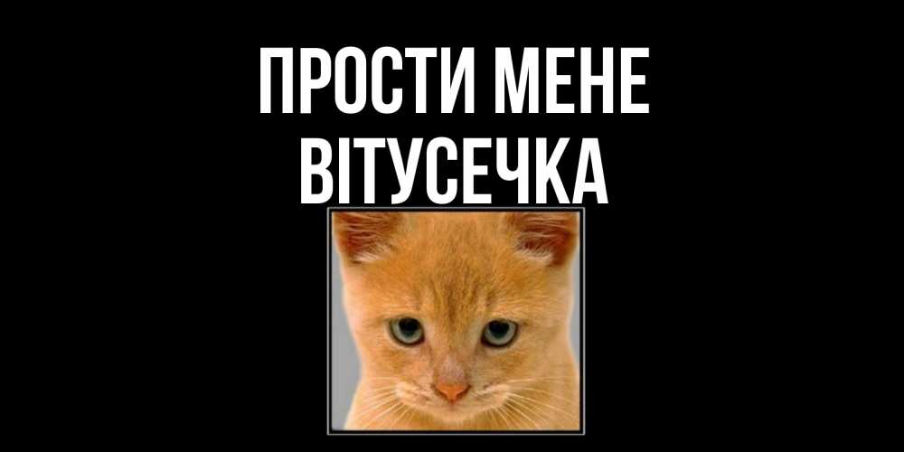 Открытка на каждый день з підписом, Вітусечка Прости мене рыжий грустный кот просит прощения Прикольна листівка з побажанням онлайн скачати безкоштовно 