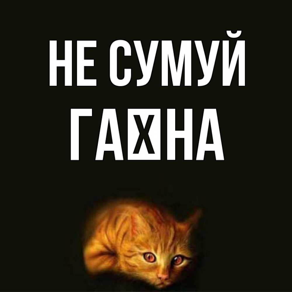 Открытка на каждый день з підписом, Гаїна Не сумуй лежащий кот в темноте Прикольна листівка з побажанням онлайн скачати безкоштовно 