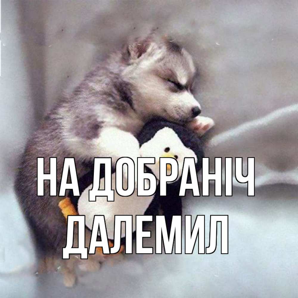 Открытка на каждый день з підписом, Далемил На добраніч обнимашки щенка и пингвина Прикольна листівка з побажанням онлайн скачати безкоштовно 