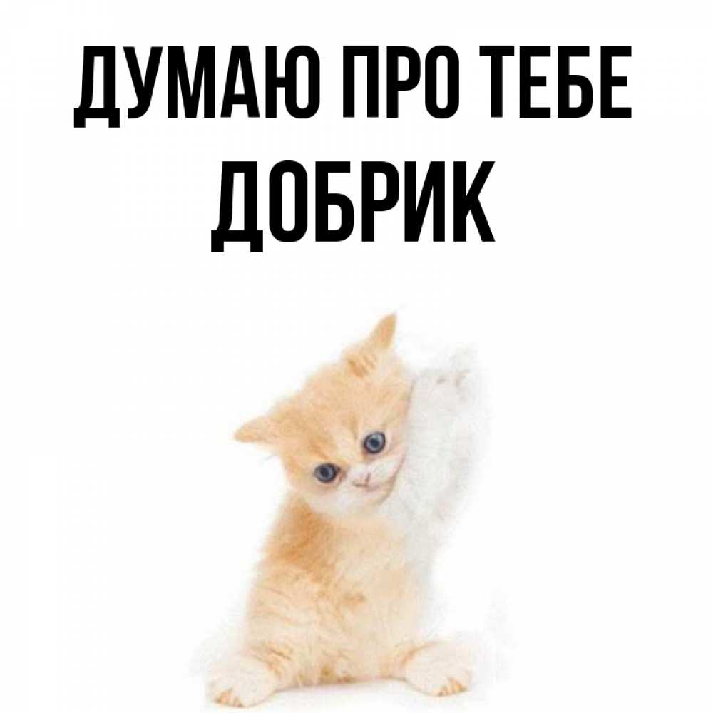 Открытка на каждый день з підписом, Добрик Думаю про тебе зверушки и милота Прикольна листівка з побажанням онлайн скачати безкоштовно 
