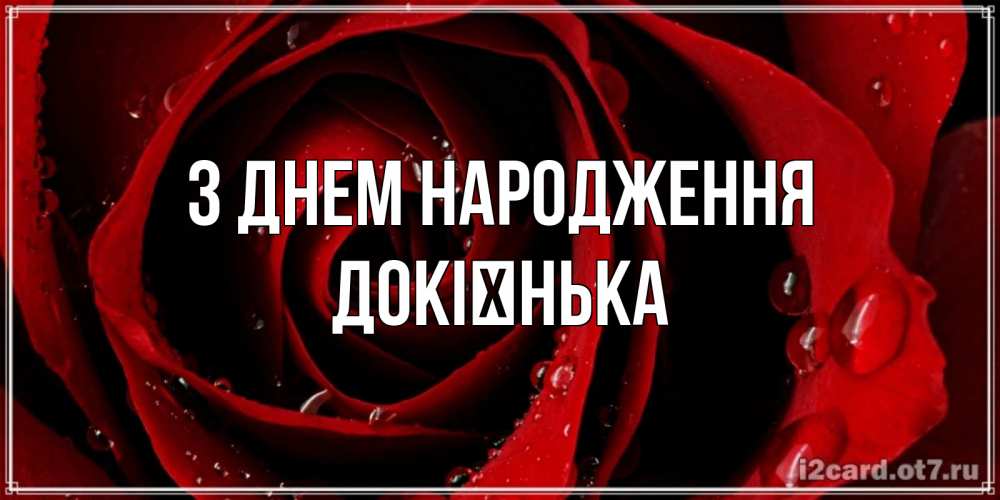 Открытка на каждый день з підписом, Докієнька З Днем народження крупная бордовая роза Прикольна листівка з побажанням онлайн скачати безкоштовно 
