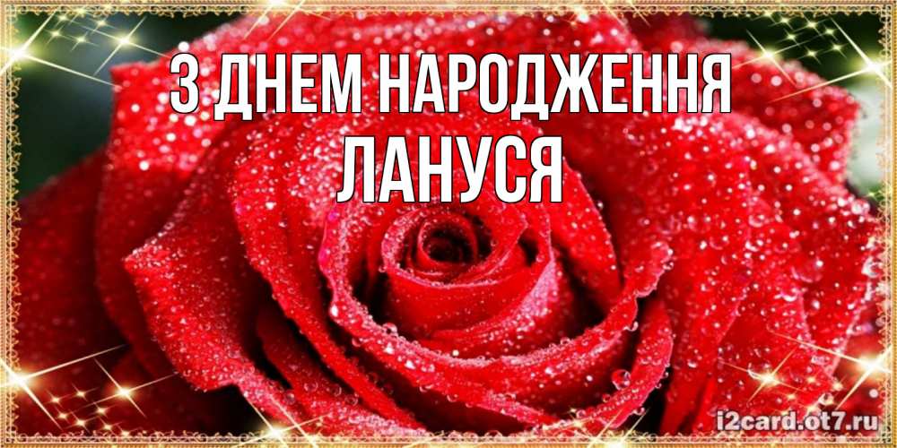 Открытка на каждый день з підписом, Лануся З Днем народження роса и роза. открытка с красивой розой Прикольна листівка з побажанням онлайн скачати безкоштовно 