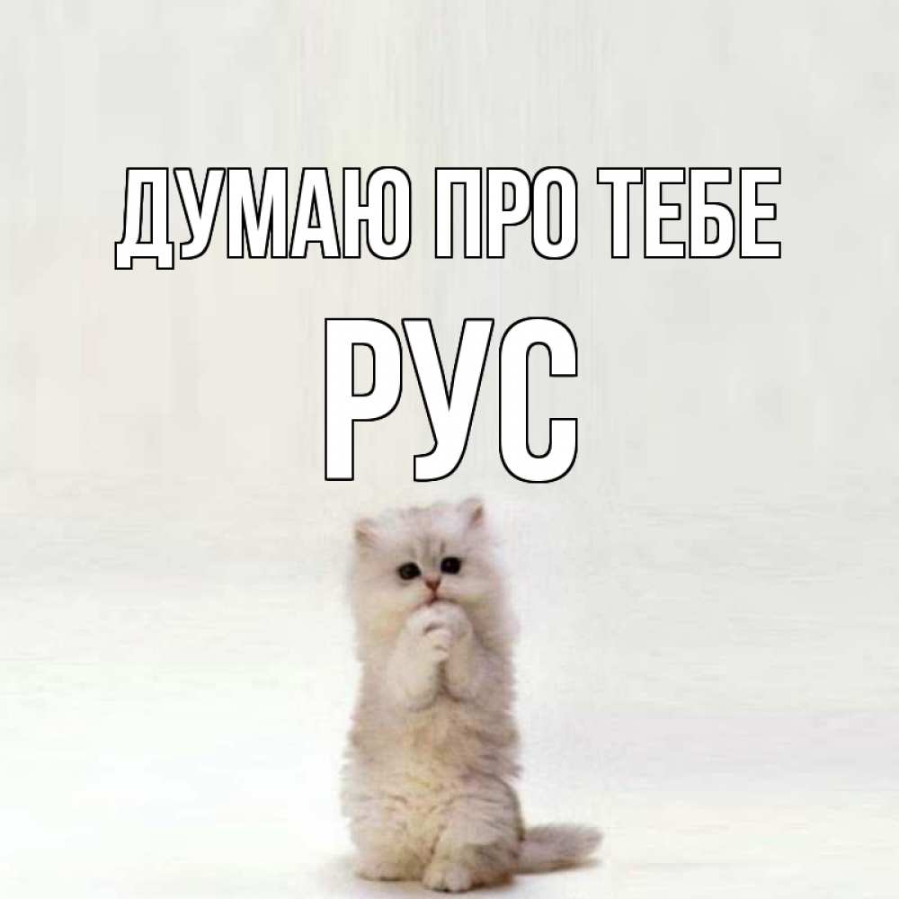 Открытка на каждый день з підписом, Рус Думаю про тебе кот стоит на задних лапах Прикольна листівка з побажанням онлайн скачати безкоштовно 