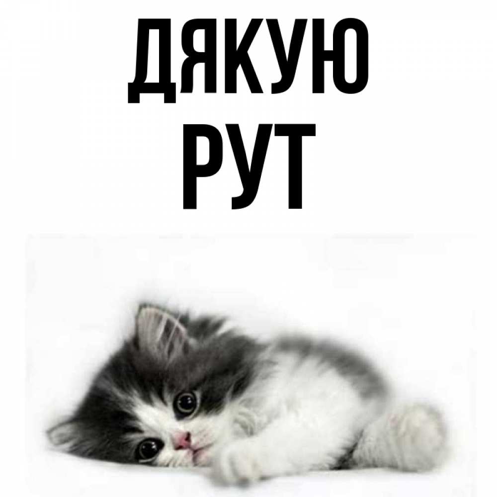 Открытка на каждый день з підписом, Рут Дякую черный и белый кот Прикольна листівка з побажанням онлайн скачати безкоштовно 