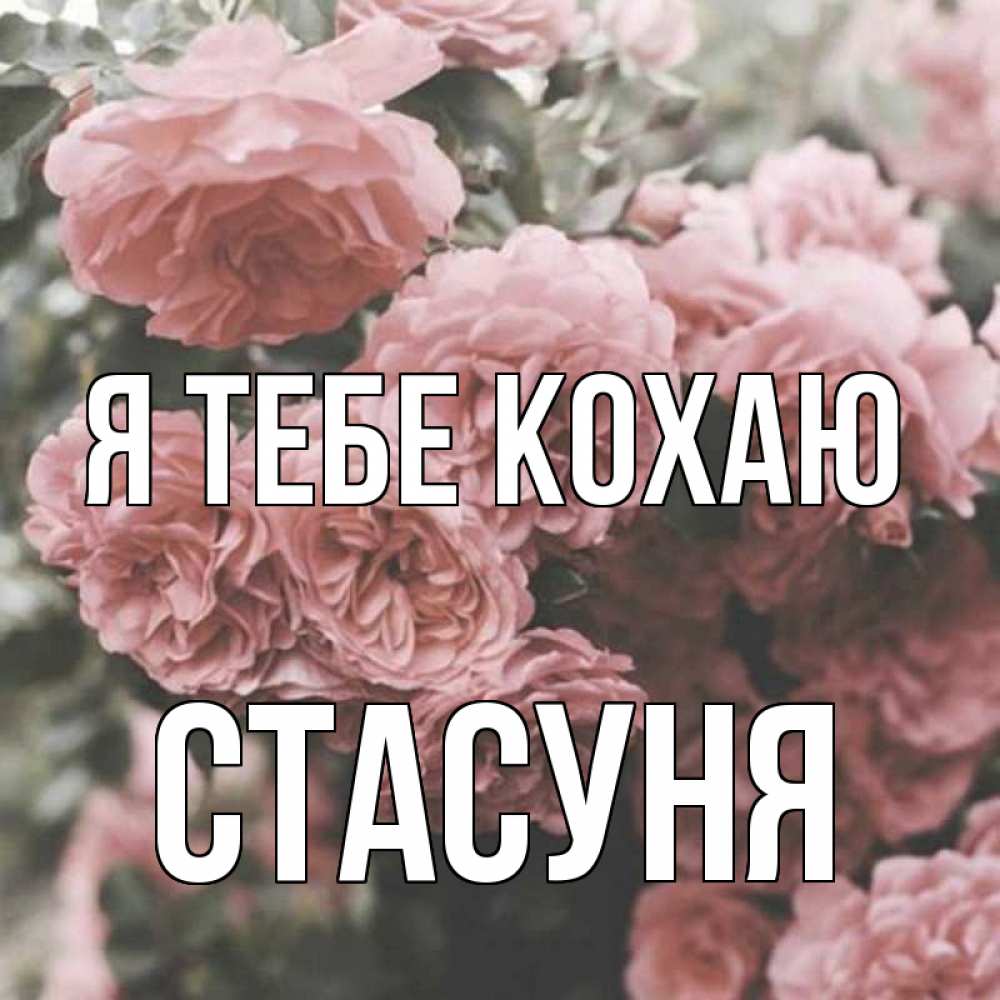 Открытка на каждый день з підписом, Стасуня Я тебе кохаю розы 3 Прикольна листівка з побажанням онлайн скачати безкоштовно 