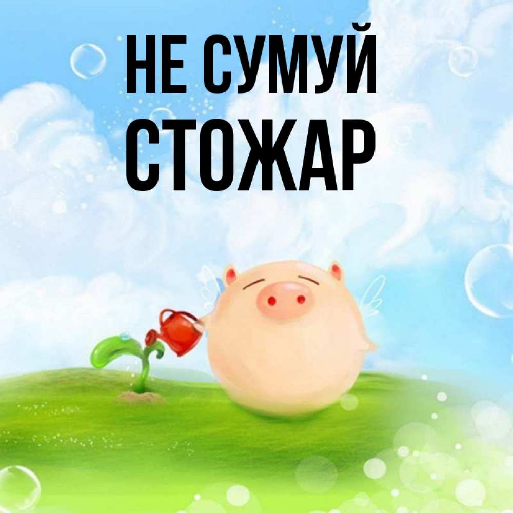 Открытка на каждый день з підписом, Стожар Не сумуй поливает цветок порося Прикольна листівка з побажанням онлайн скачати безкоштовно 