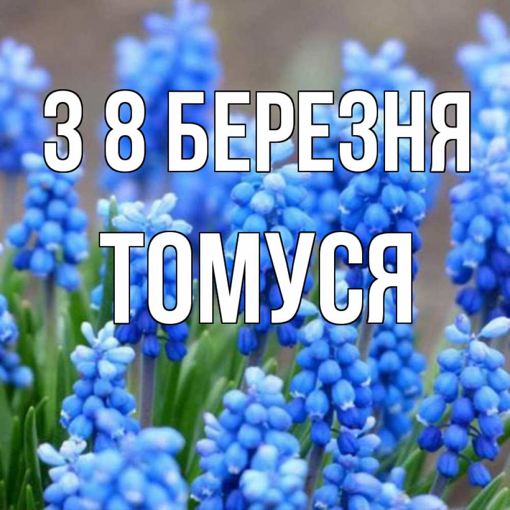 Открытка на каждый день з підписом, Томуся З 8 БЕРЕЗНЯ Поздравительная открытка для женщин с цветами на праздничную дату Прикольна листівка з побажанням онлайн скачати безкоштовно 