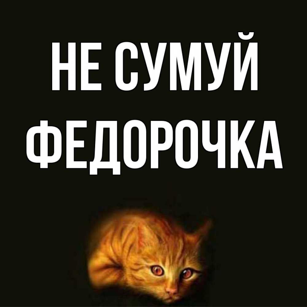 Открытка на каждый день з підписом, Федорочка Не сумуй лежащий кот в темноте Прикольна листівка з побажанням онлайн скачати безкоштовно 