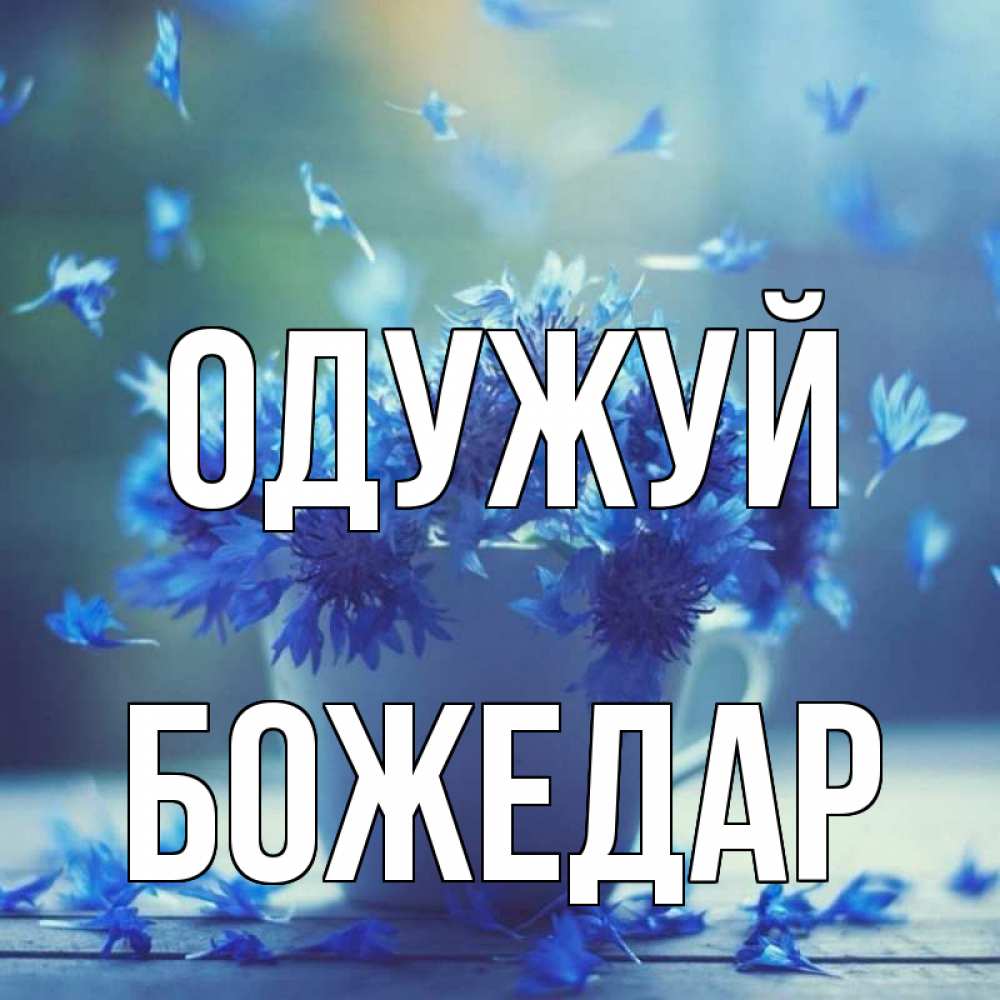 Открытка на каждый день з підписом, Божедар Одужуй кружка с зельем и цветами Прикольна листівка з побажанням онлайн скачати безкоштовно 