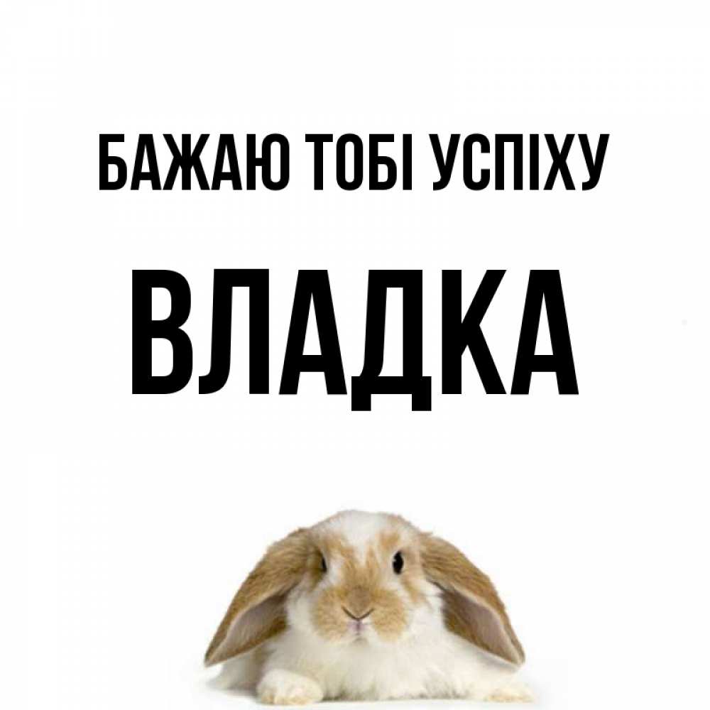 Открытка на каждый день з підписом, Владка Бажаю тобі успіху открытки с произвольным текстом который можно вставить в открытку и создать ее самостоятельно бесплатно онлайн Прикольна листівка з побажанням онлайн скачати безкоштовно 
