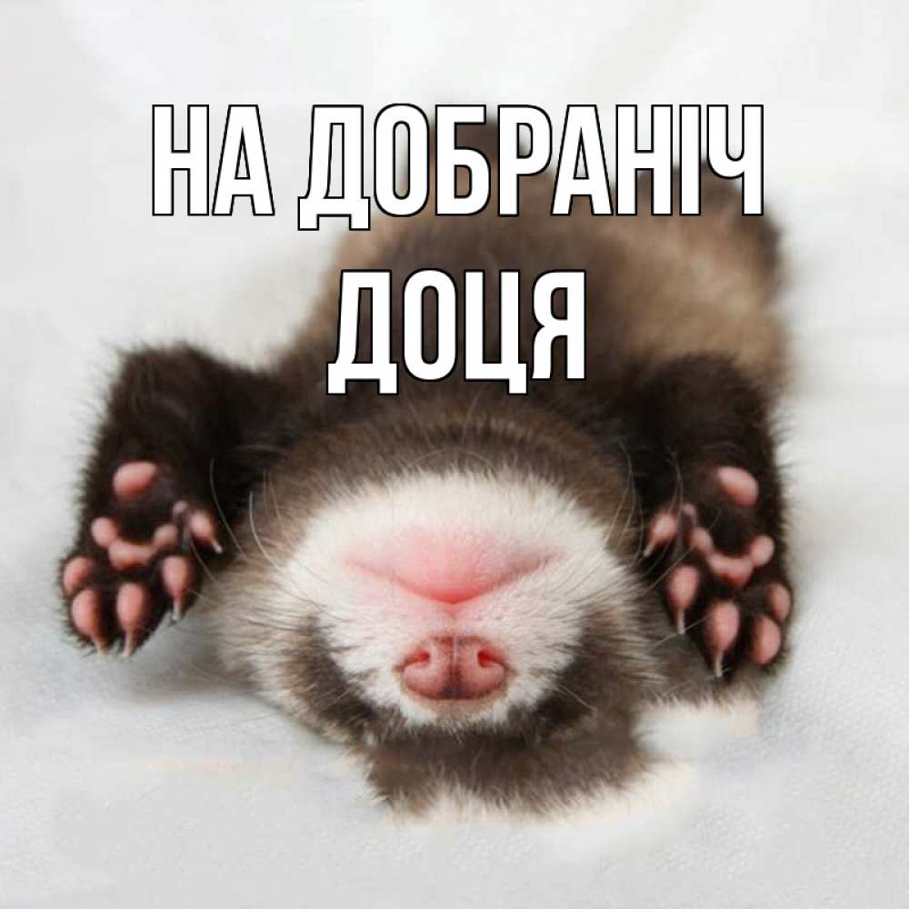 Открытка на каждый день з підписом, Доця На добраніч зверек Прикольна листівка з побажанням онлайн скачати безкоштовно 