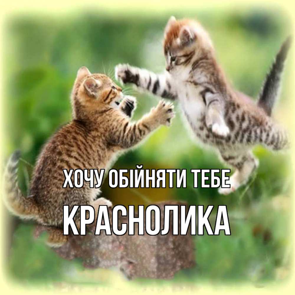 Открытка на каждый день з підписом, Краснолика Хочу обійняти тебе игры котят Прикольна листівка з побажанням онлайн скачати безкоштовно 