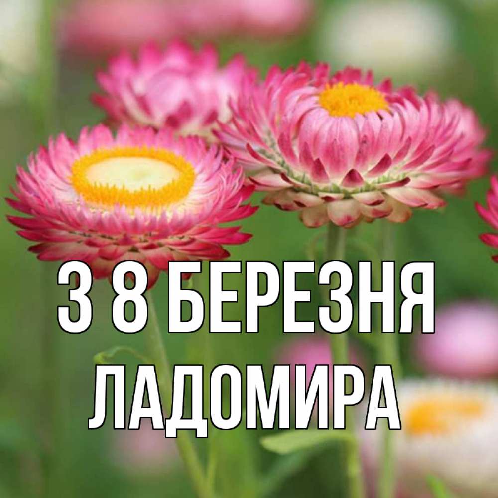 Открытка на каждый день з підписом, Ладомира З 8 БЕРЕЗНЯ подарок на международный женский день Прикольна листівка з побажанням онлайн скачати безкоштовно 