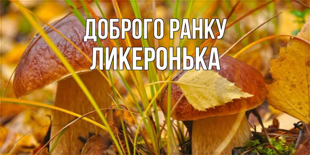 Открытка на каждый день з підписом, Ликеронька Доброго ранку осенние грибы Прикольна листівка з побажанням онлайн скачати безкоштовно 